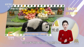 心寒网络热梗